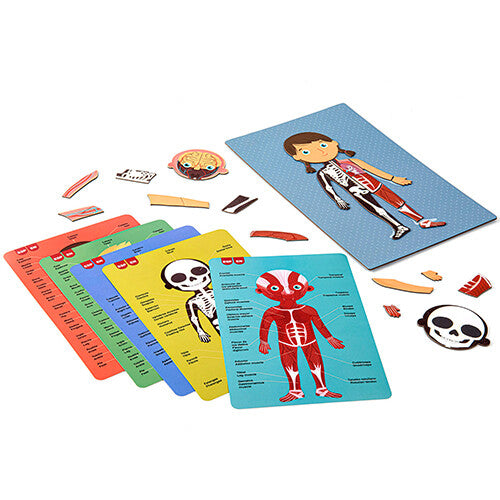 Apli kids magneetspel menselijk lichaam