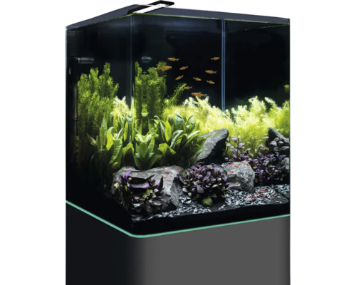 DENNERLE Nano Cube Compleet aquarium, 60 L, LED-verlichting Chihiros C 361 inclusief binnenfilter, afdekglas, veiligheidsmat, Scaper's Back achterwandfolie, beginnersbrochure, bodembedekking, grind en thermometer