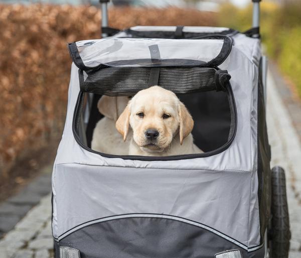 Trixie Fahrradanhänger für den Hund, grau