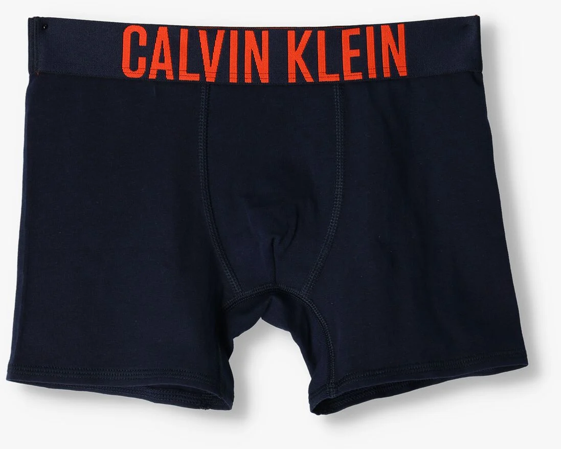 CALVIN KLEIN UNDERWEAR multi calvin klein underwear boxershort 2pk boxer brief