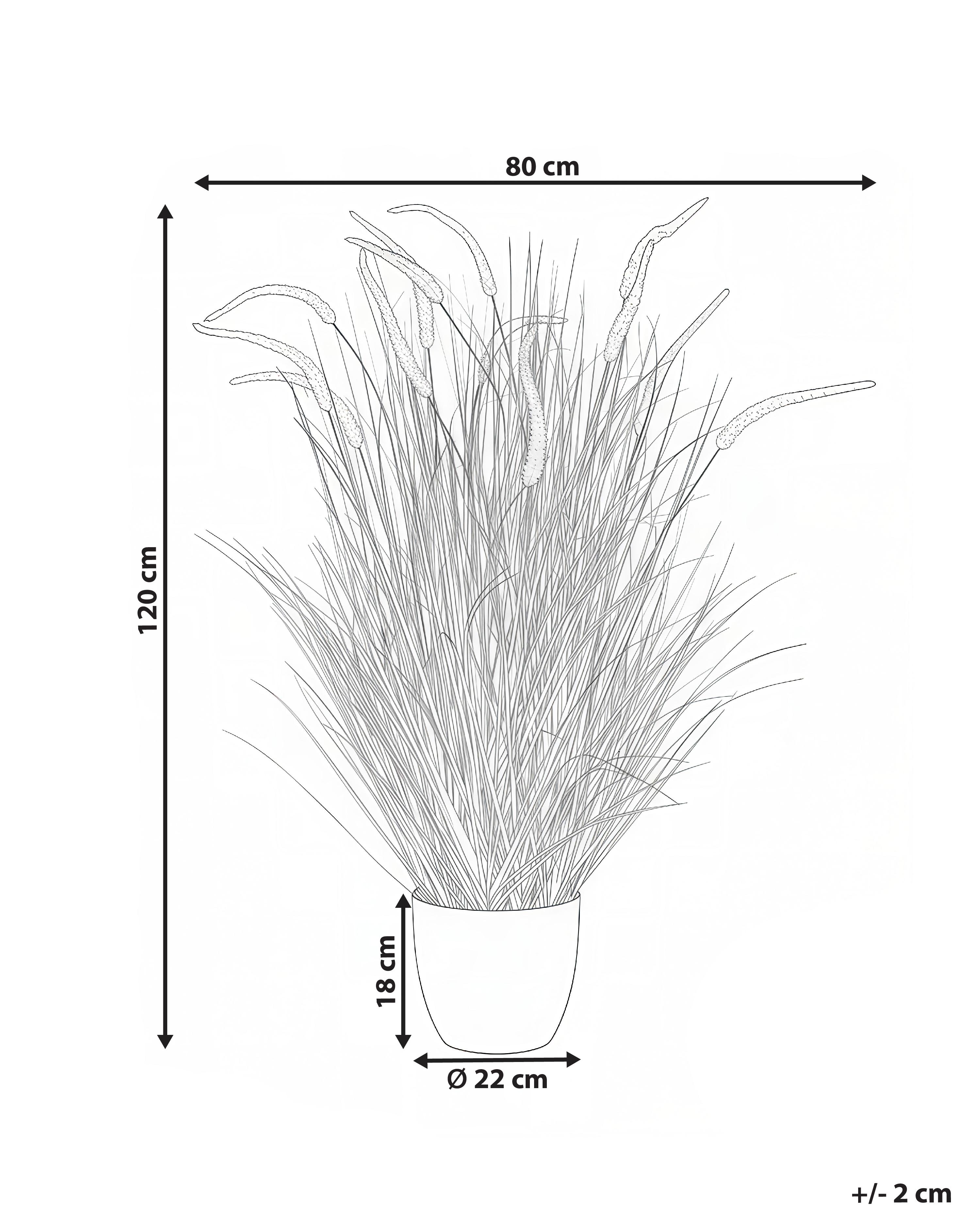 Kunstplant BRISTLEGRASS 120 cm Oranje