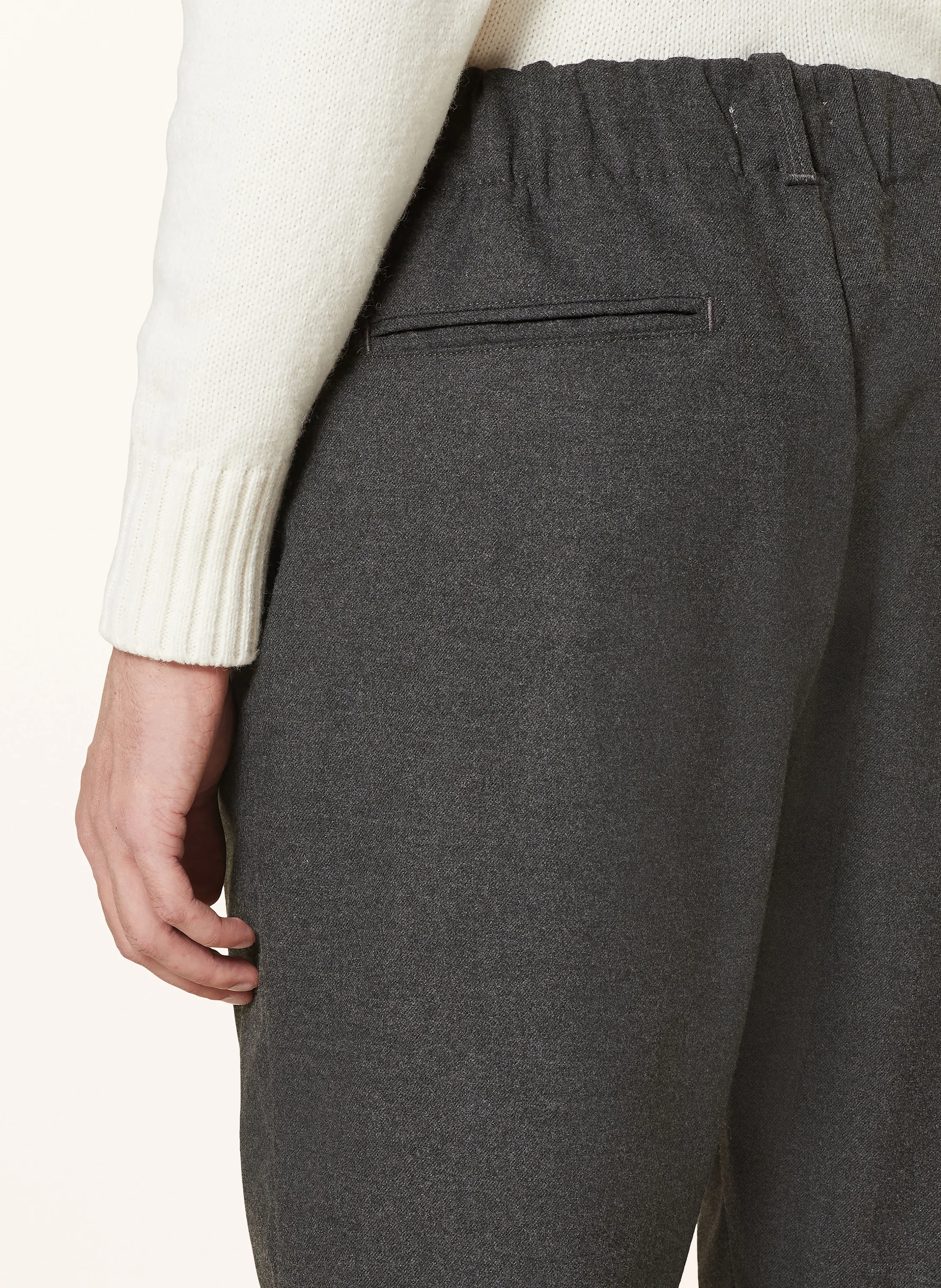 REPLAY Hose im Jogging-Stil Regular Fit