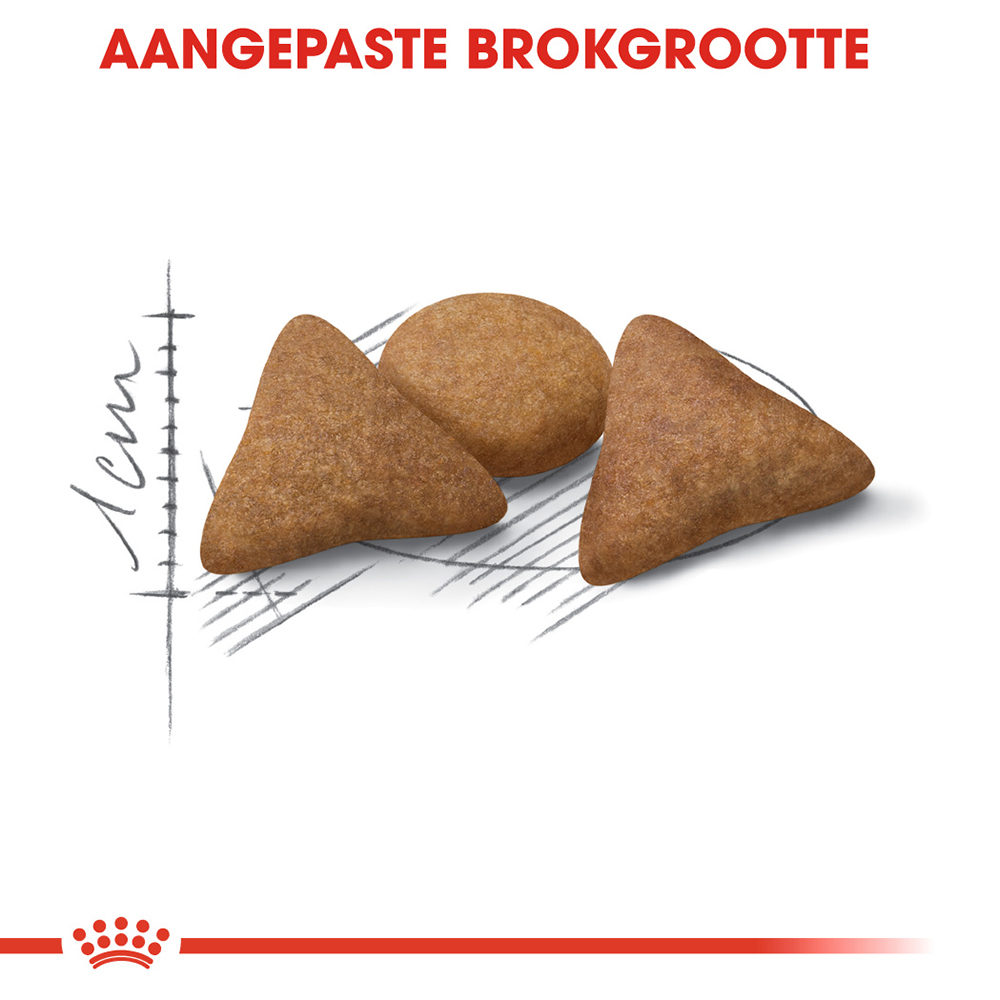 Royal Canin Indoor Appetite Control - Kattenvoer