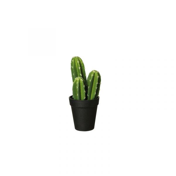 Asa Selection Vaso com Cacto Pachycereus Pringli Deko - ASA66203444