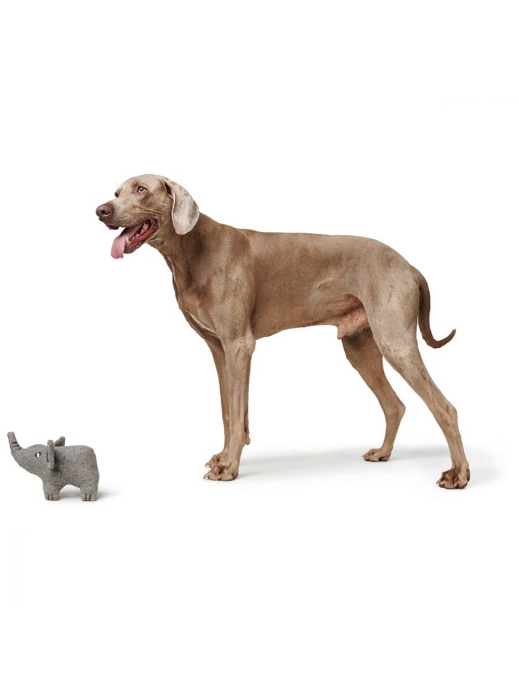Hunter - Hundebamse Eiby elefant M 22cm