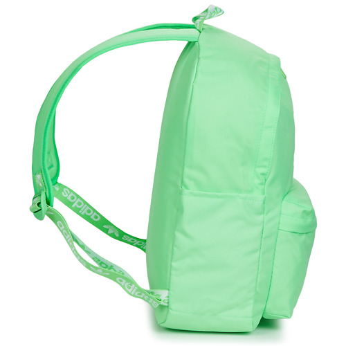 adidas Originals - ADICOLOR BACKPACK - Vert