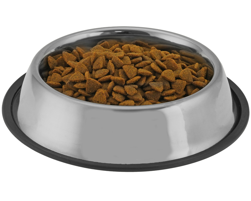 Gamelle chien chat inox 500 gr ø 29 cm • pour l'eau ou les croquettes