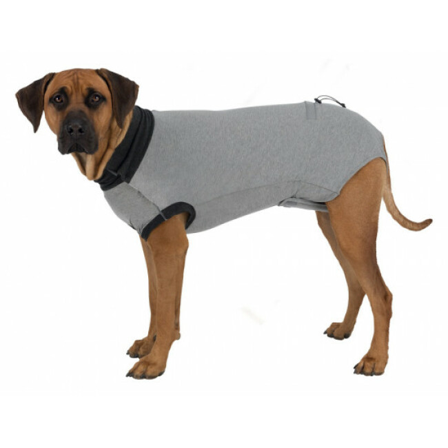 Body de protection gris Trixie pour chien