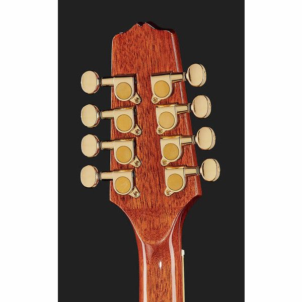 Gold Tone M-800+ Octave Mandoline