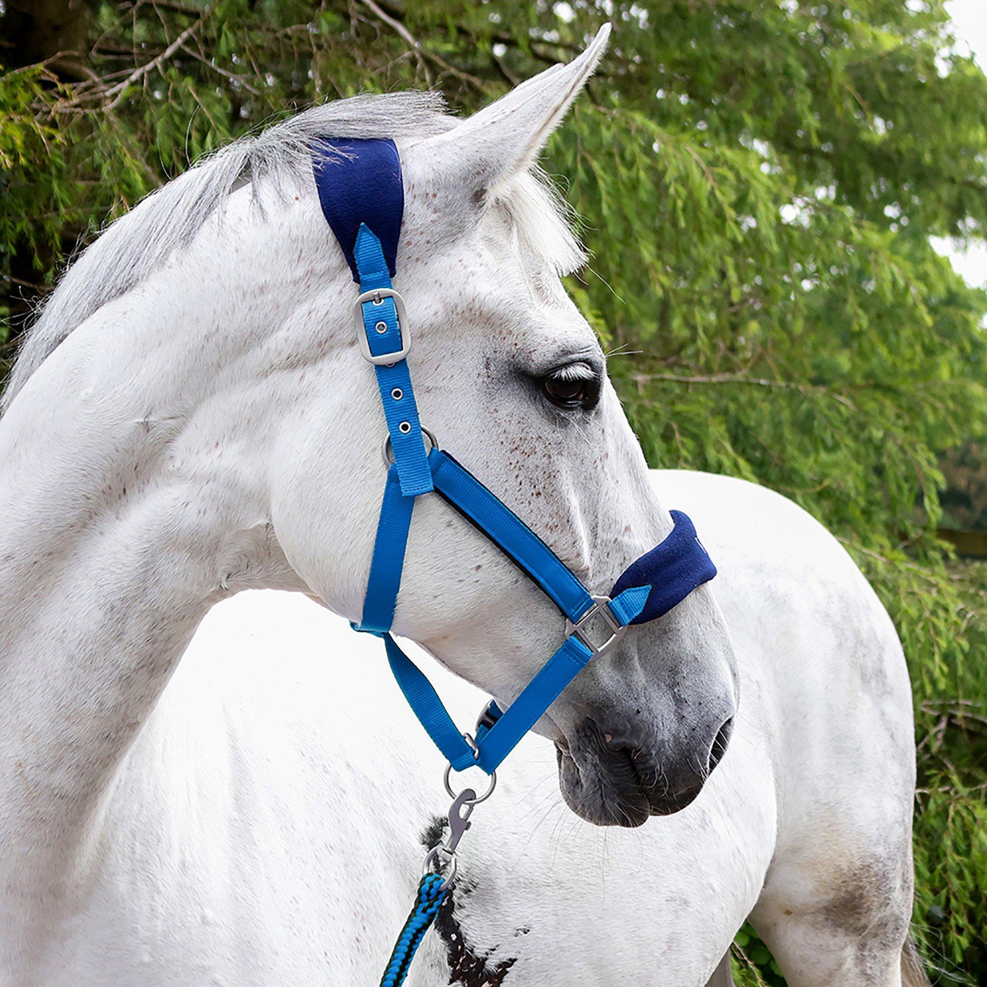 John Whitaker Club Headcollar and Lead Rope Set