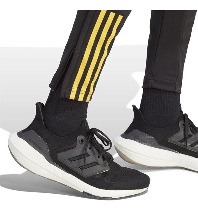 adidas Men JAMAICA TIRO 23 Trainingsbroek
