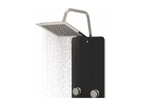 Panneau de douche pomme argenté 25 x 47.5 x 130 cm 02_0003437