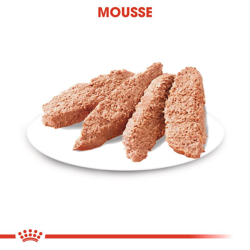 Royal Canin Sterilised en mousse