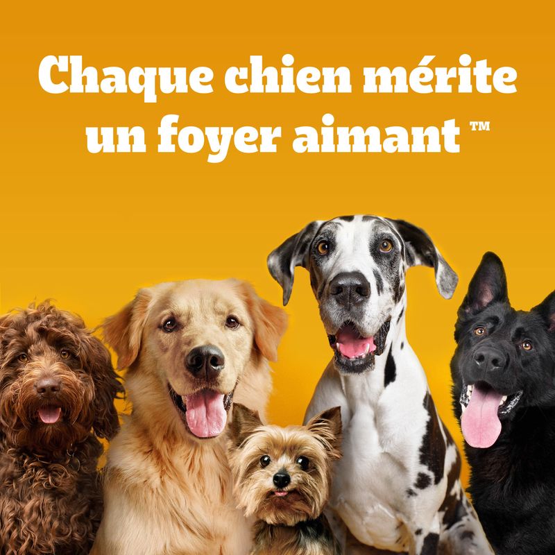 Pedigree Dentastix Fresh Mini
