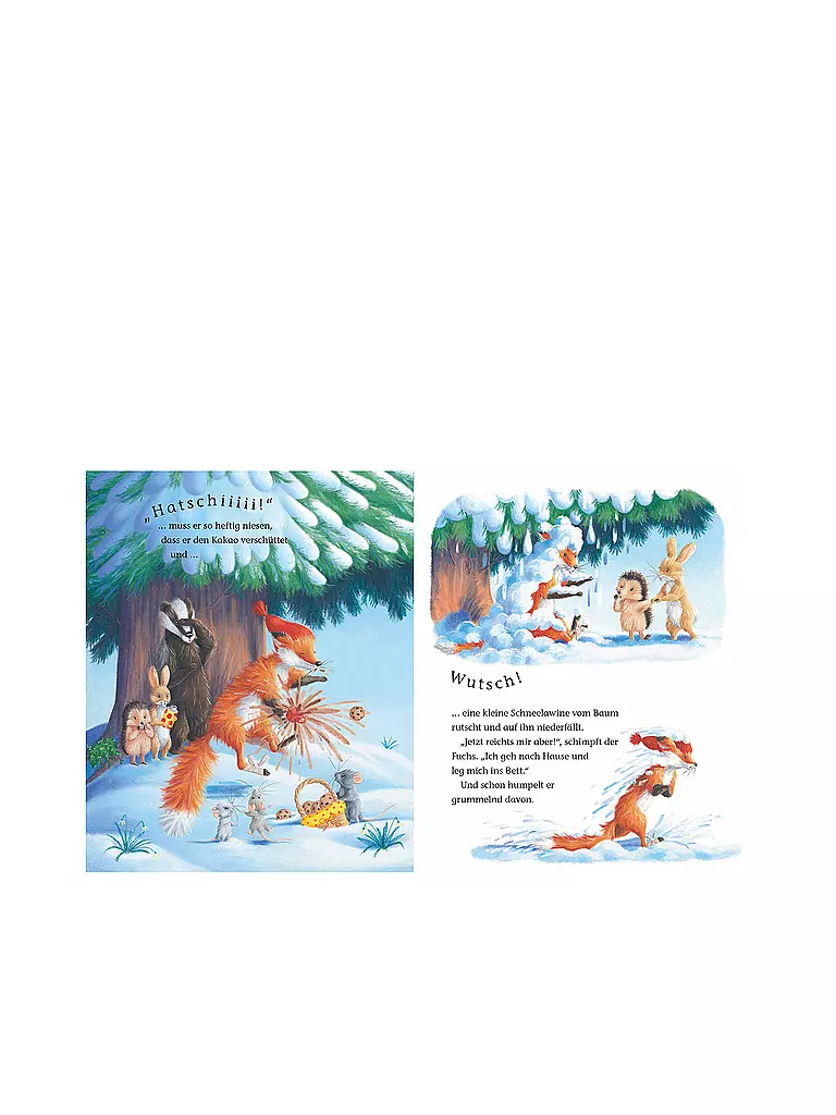 BRUNNEN VERLAG Buch - Der kleine Igel und die abenteuerliche Suche keine Farbe
