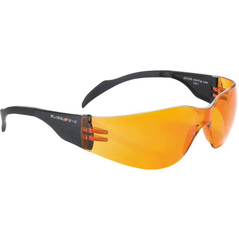 Swiss Eye Outbreak Radbrille