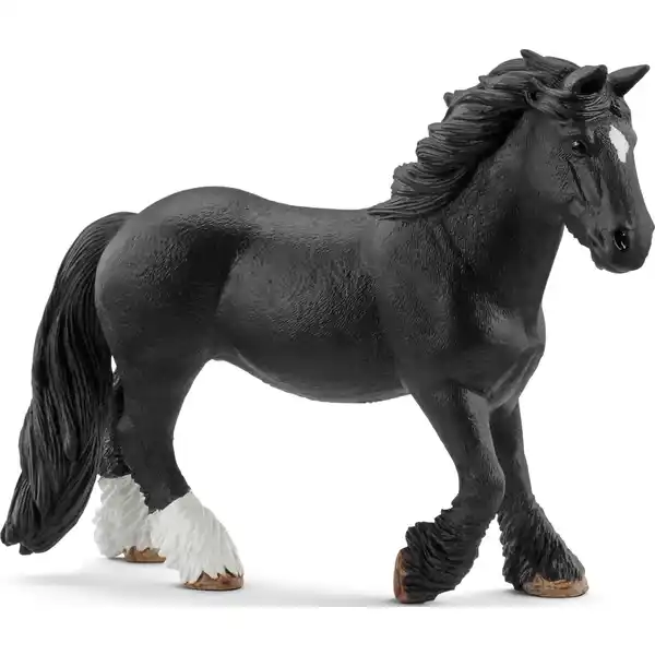 72137 Tinker Stute