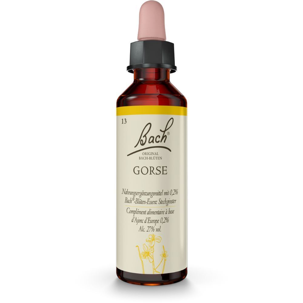 BACH®-BLÜTE GORSE (Stechginster)
