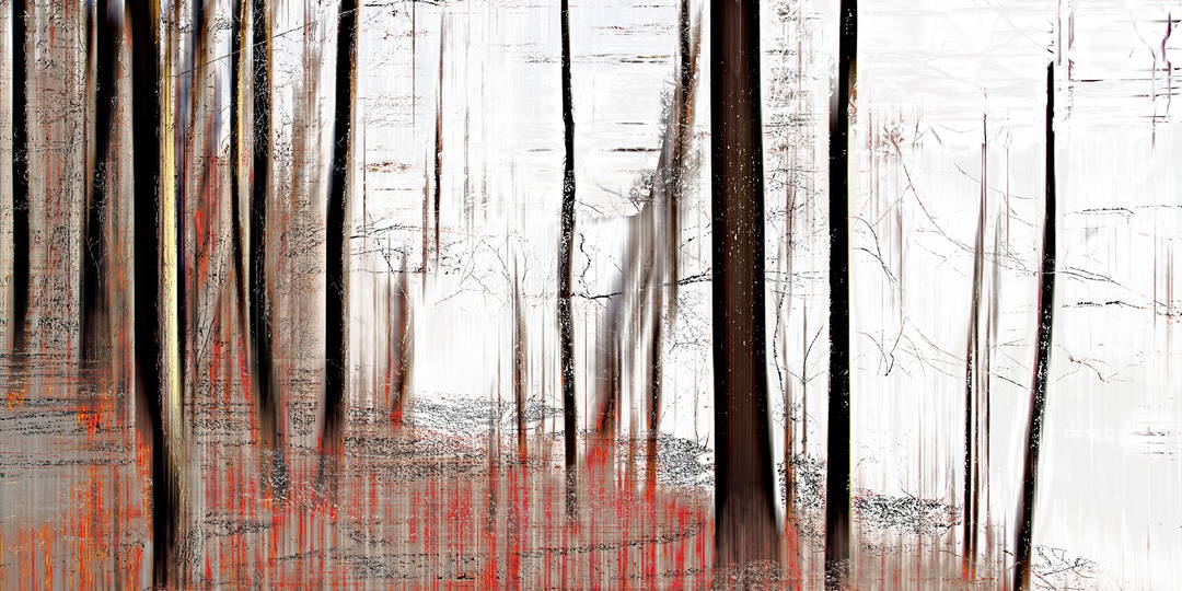 wood_0870 by Sabine Wild - Limited Edition. Edition of: 100. Signed.
