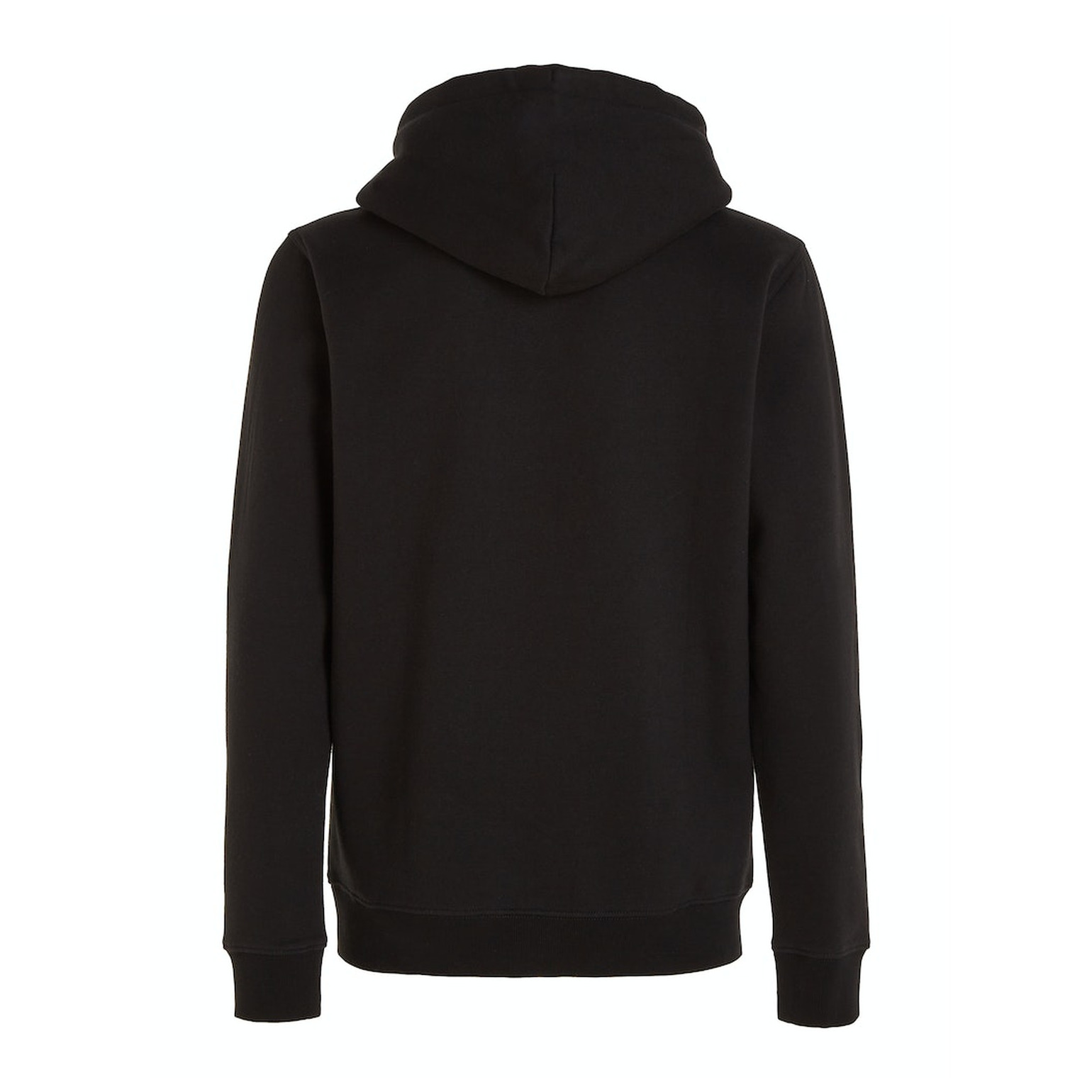 Tommy Jeans TJM REG LINEAR LOGO HOODIE EXT