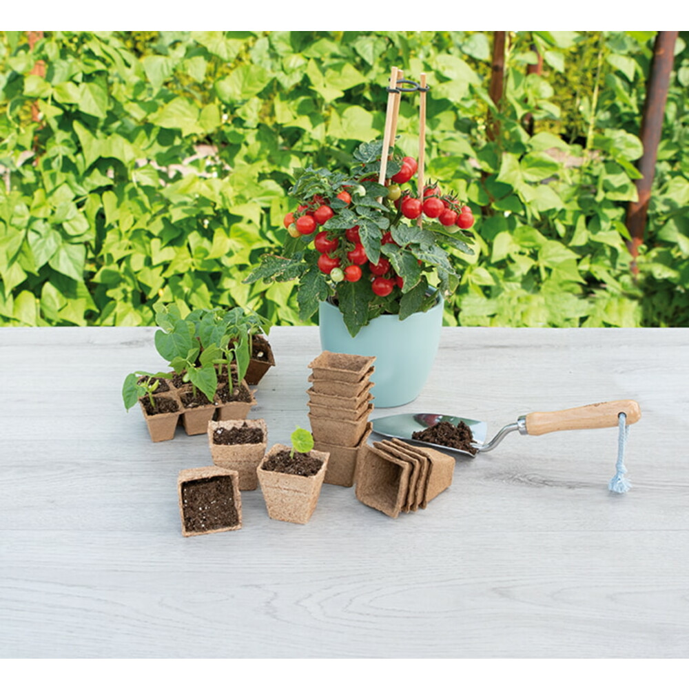 SOGO Biologische Kweekpotjes Vierkant 6 cm10 stuks