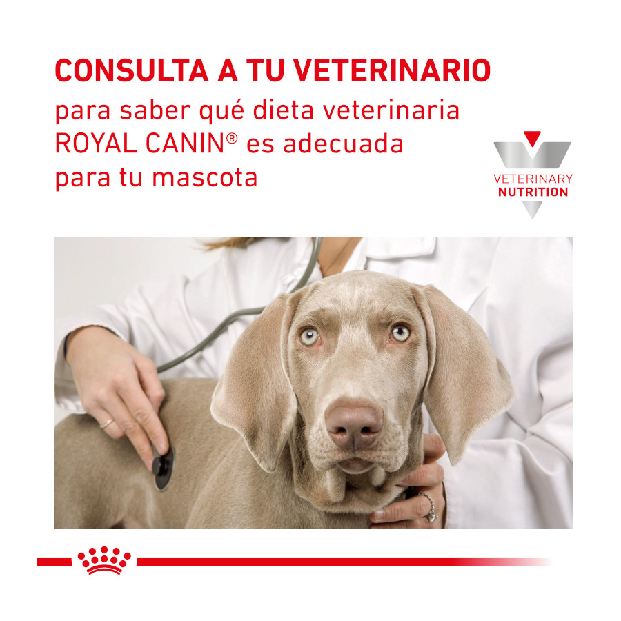 pomada Royal Canin Veterinary Recovery é indicada para cães e gatos.