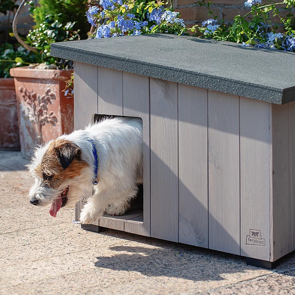 Niche pour extérieur, maison pour chiens argo 60 en bois fsc avec vernis atoxique, résistant aux u.v.