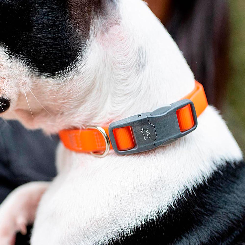 Collier pour chiens evolution c25/56 avec boucle magnétique, hypoallergénique, lavable, orange