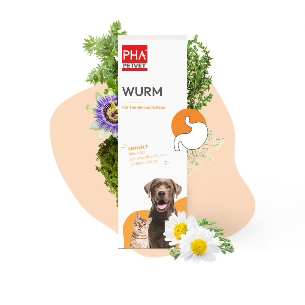 PHA Wurm<br>50 ml, Flasche, Tropfen