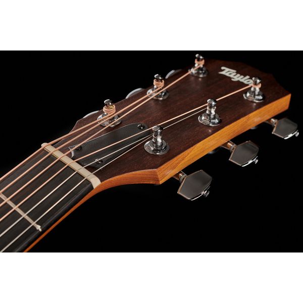 Taylor A10