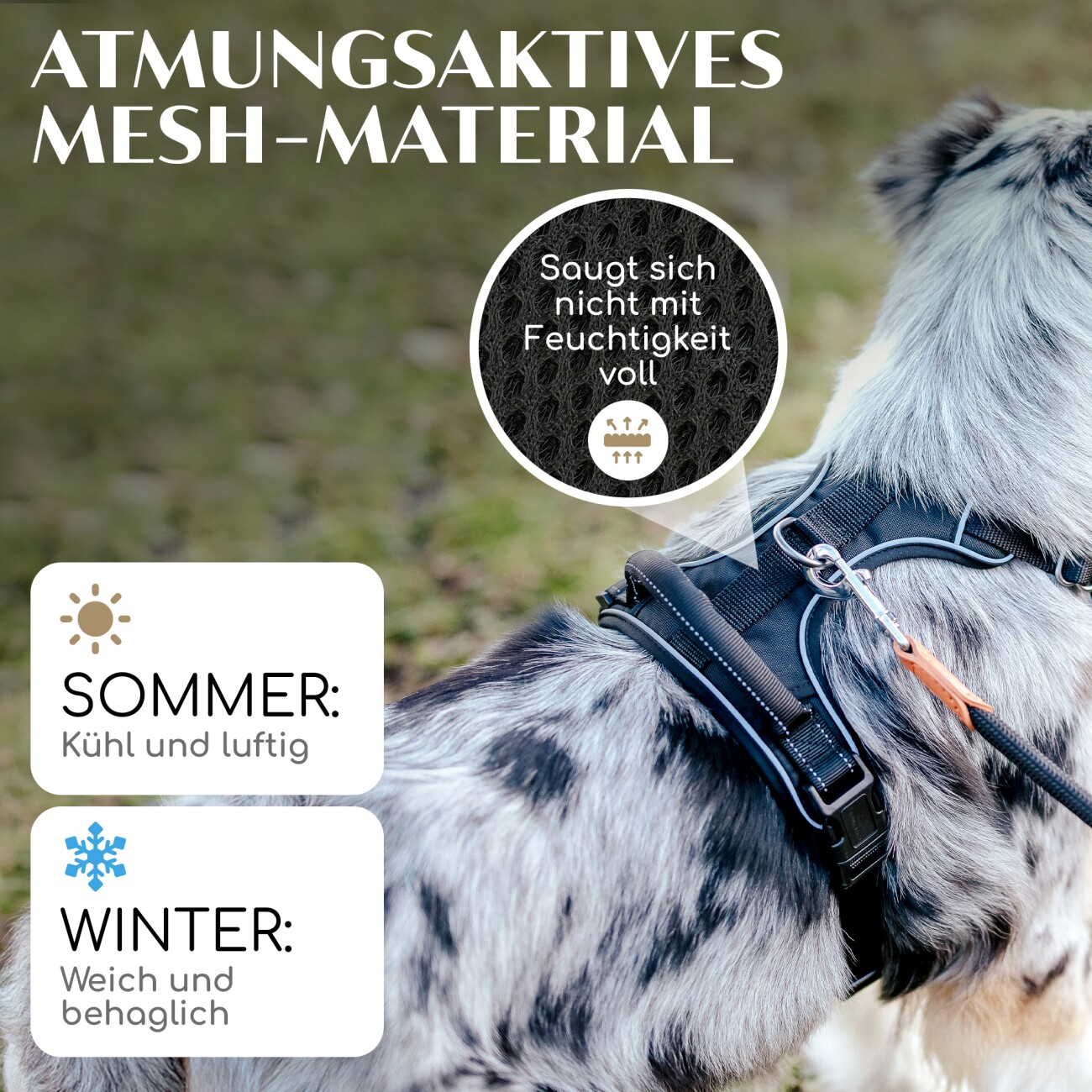 Freudentier Hundegeschirr mit Mesh-Polsterung M