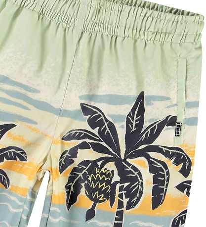 Molo Shorts - Adi - Strand Banana