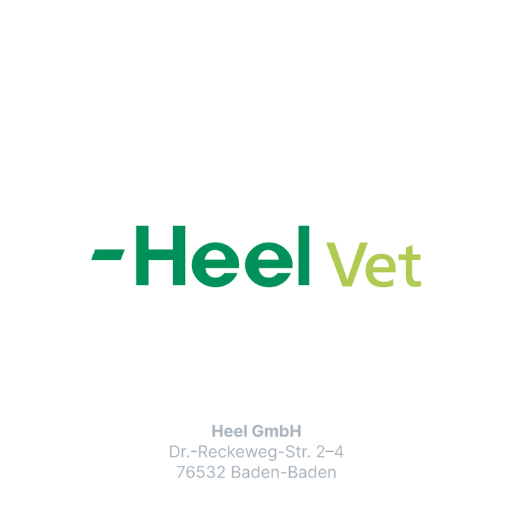 Zeel LT ad us. vet. Tabletten, 500 St