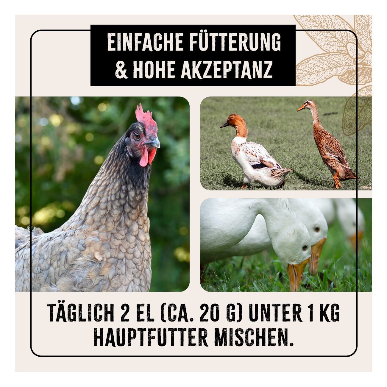 AniForte Hühner Wohlfühlkräuter 0,5kg