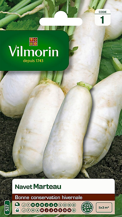 Graines de Navet Marteau Vilmorin