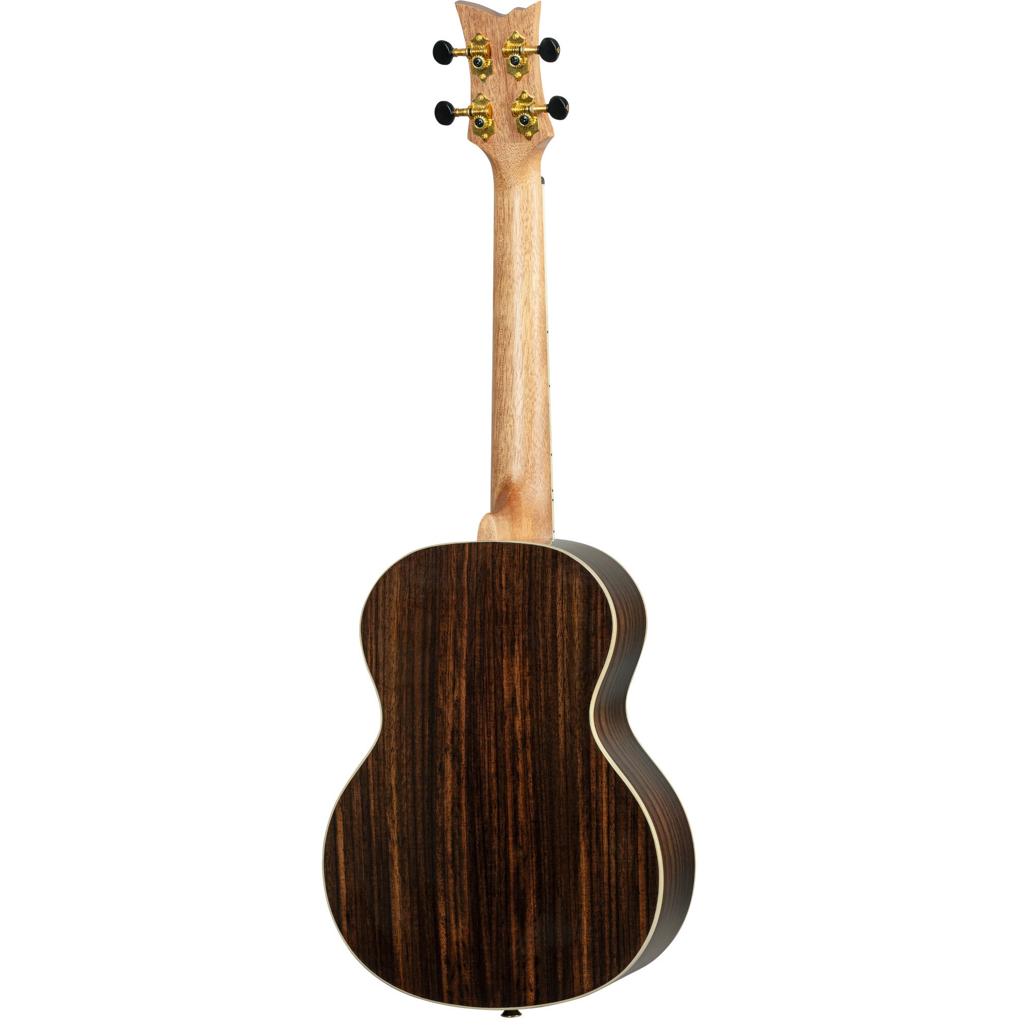 Ortega Ghost Series RUGH-BKT tenor ukelele met gigbag
