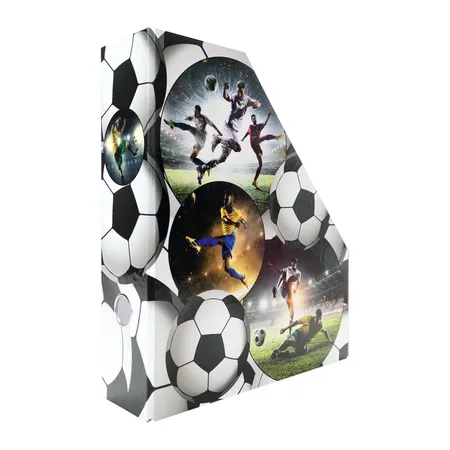 HERMA Stehsammler Karton Fussball, A4