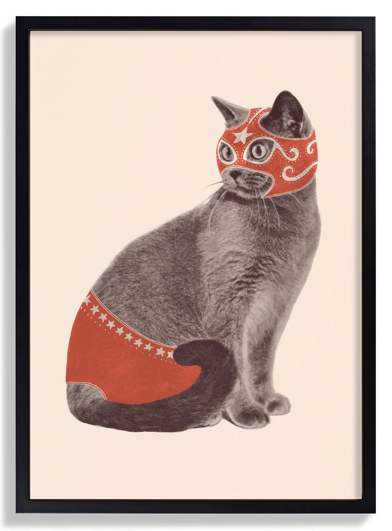 Cat Wrestler von Florent Bodart
