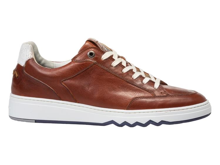 Floris van Bommel SFM-10183 darkcognac