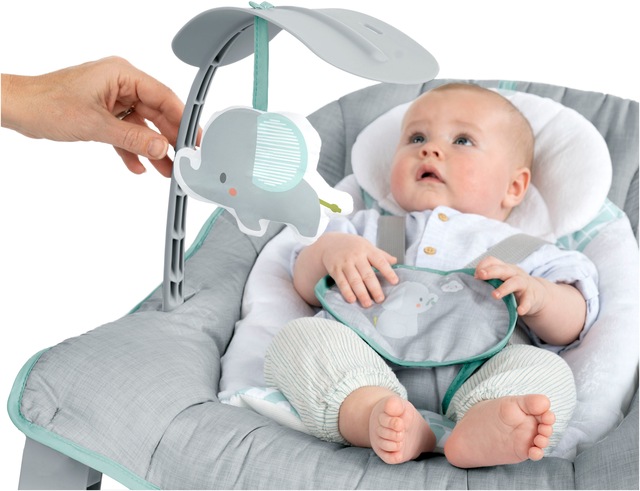 ingenuity Babywippe »Keep Cozy, Weaver« bis 18 kg mit abnehmbarem Hängespielzeug