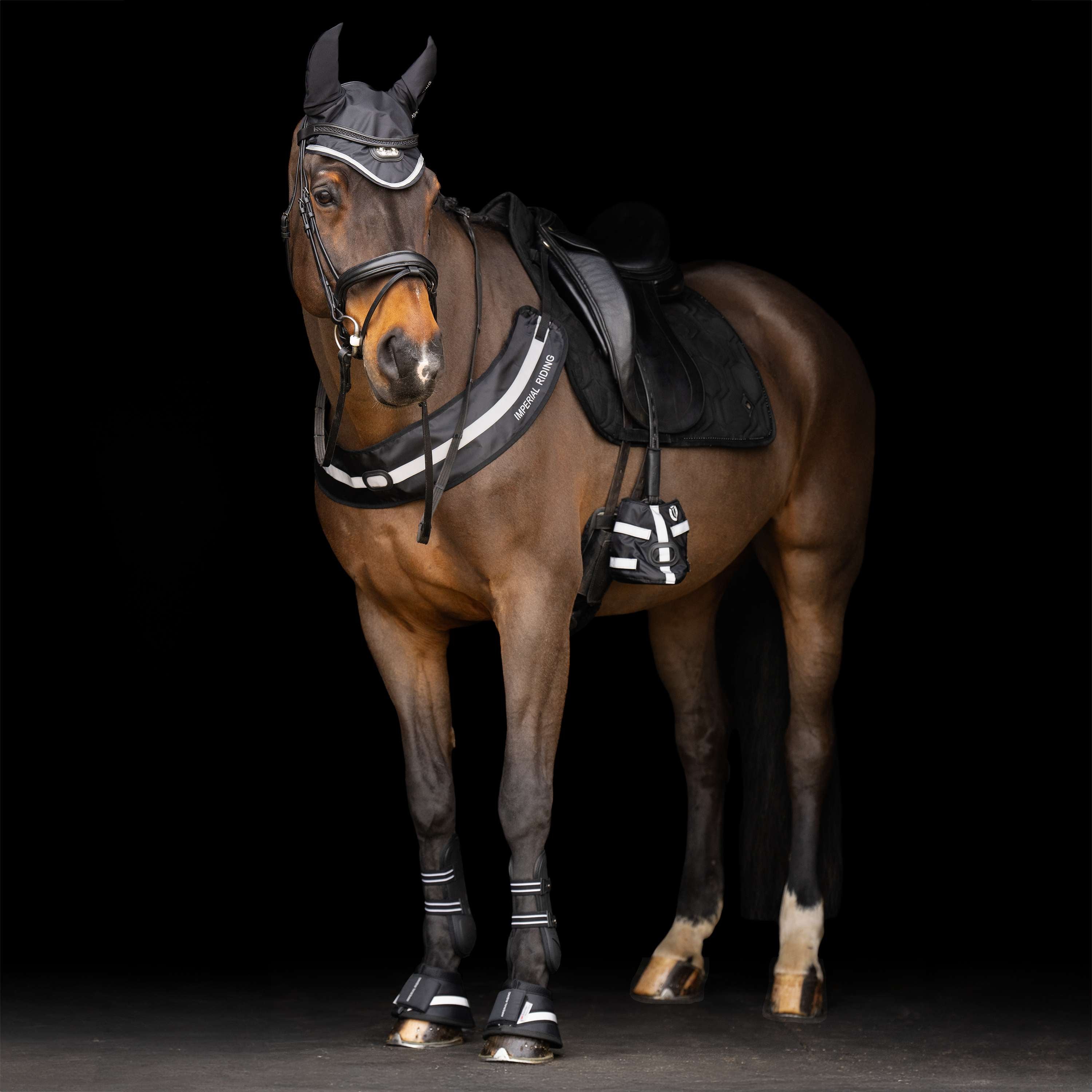 Imperial Riding Borsttuig IRHLuminous Zwart