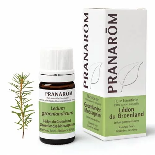 Lédon du Groenland - 5 ml