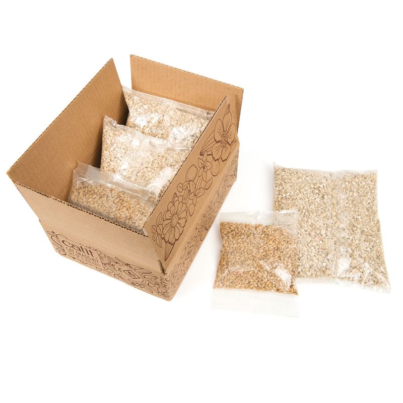 Lot de semences pour jardinière d'herbe Catit Senses 2.0