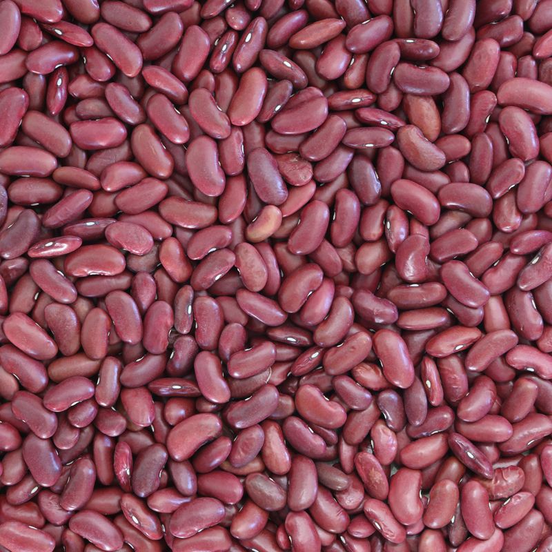 Kidneybonen (bio)