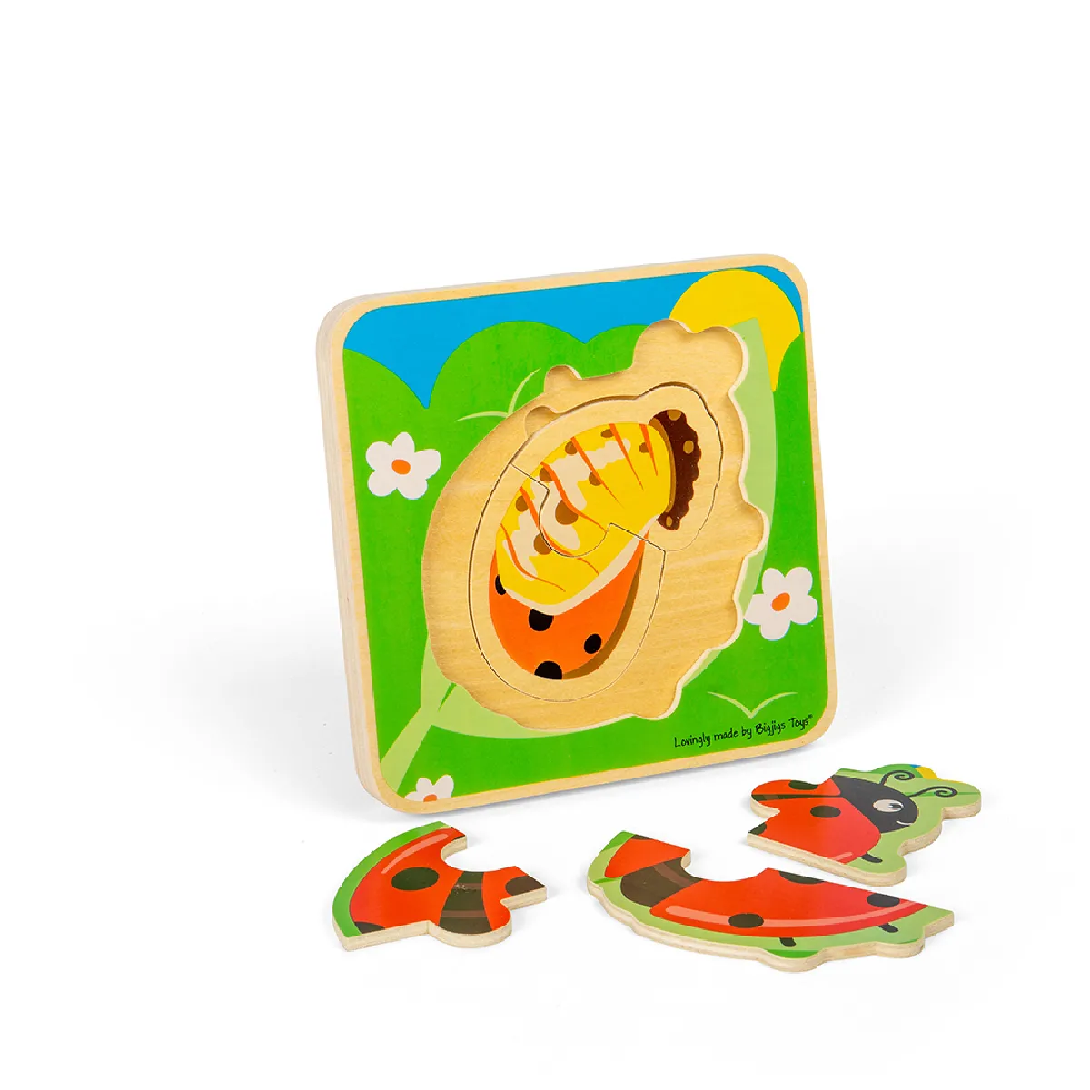 Bigjigs Toys Puzzle Cycle de Vie - Coccinelle