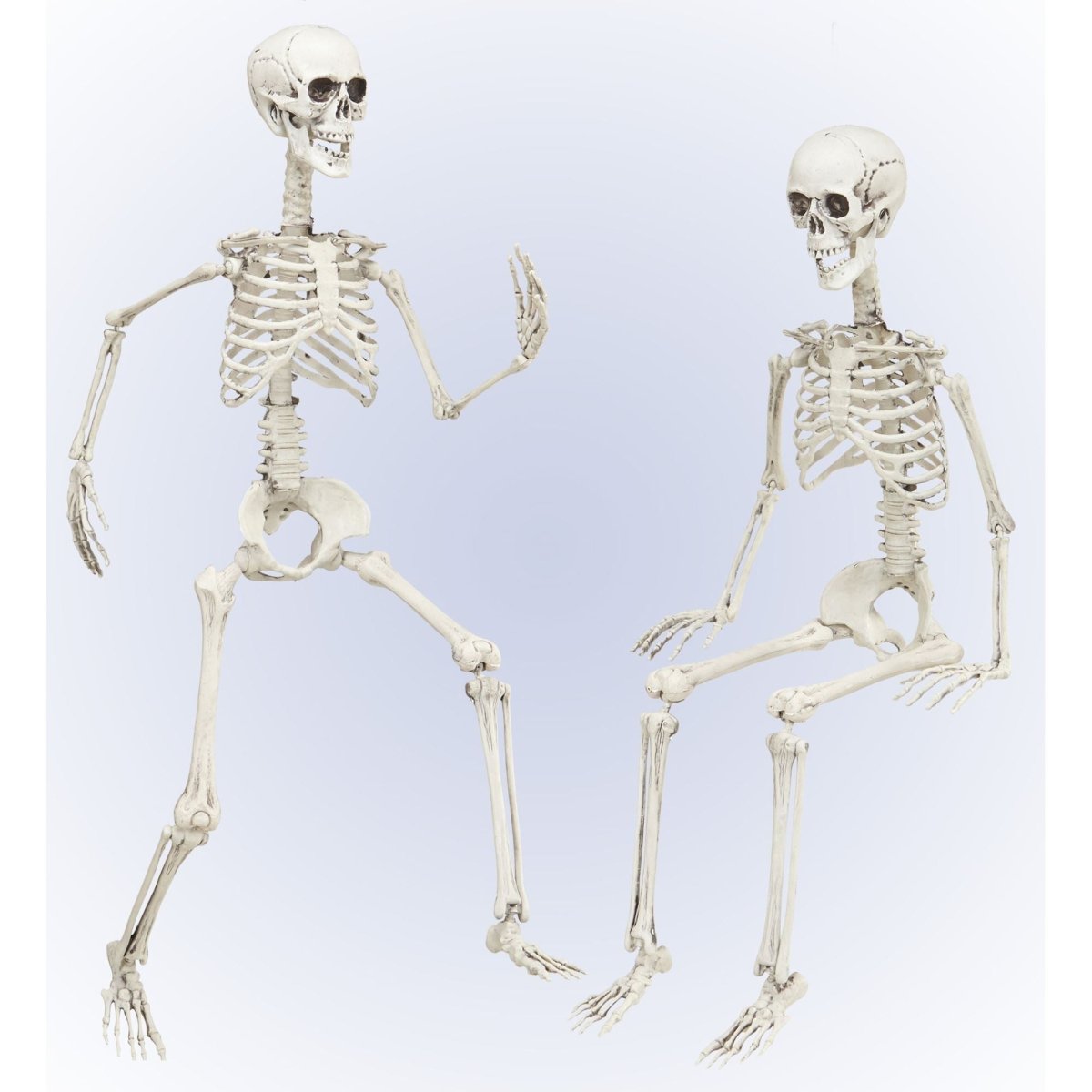 Halloween Skelet Beweegbaar 90cm