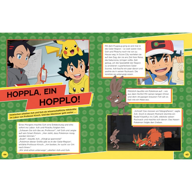 Pokémon - Mein großes Fanbuch