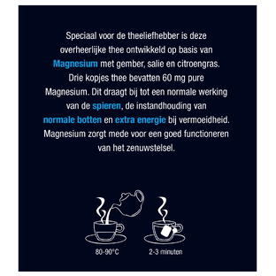 Lucovitaal Magnesium Groene Thee Zakjes 20ST
