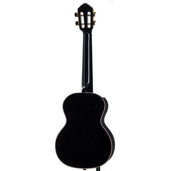 Ortega RUOX-TE