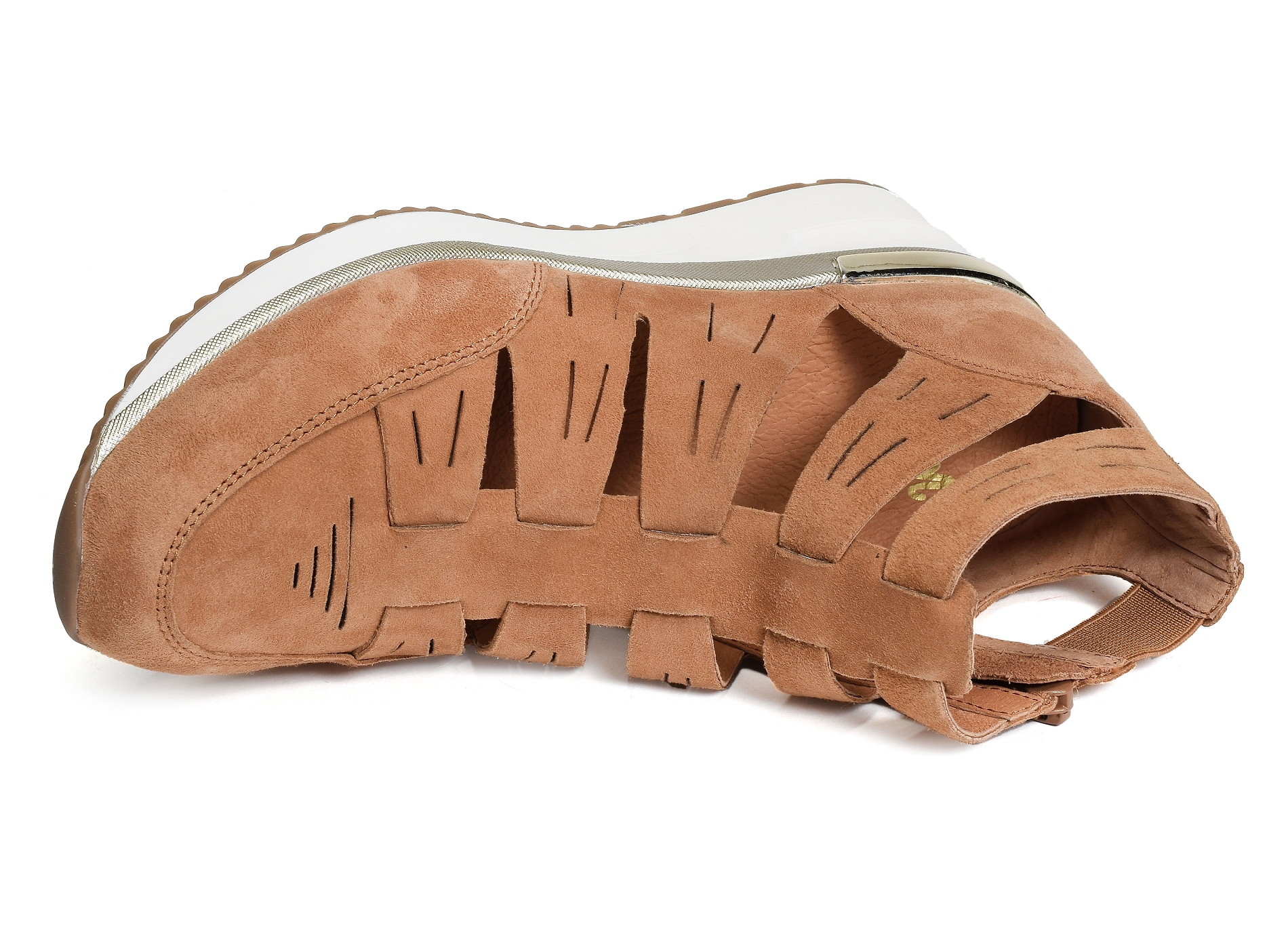 Vacano camel